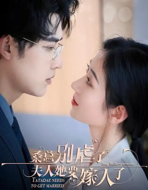 无声证词悬疑电视剧全集